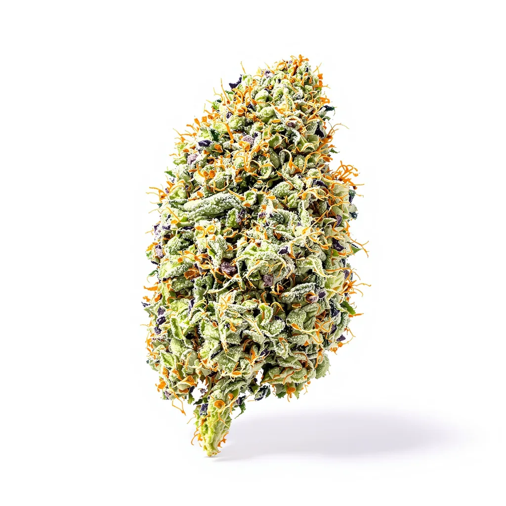 Blackberry Pie 51% indica / 49% sativa — fleur avec trichomes visibles