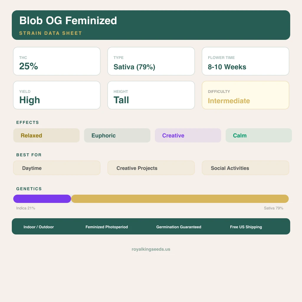 Blob OG 21% indica / 79% sativa — fleur avec trichomes visibles