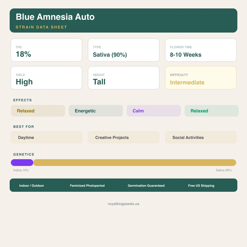 Blue Amnesia 10% indica / 90% sativa — fleur avec trichomes visibles