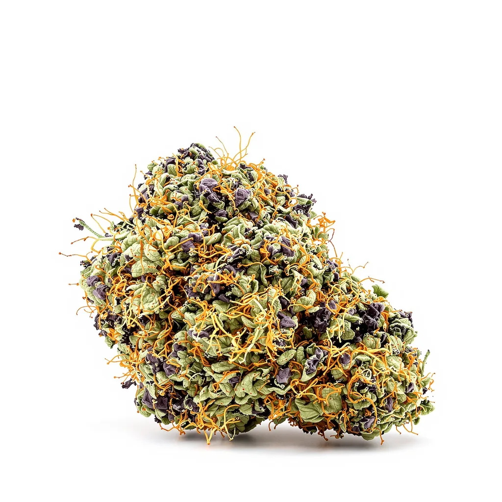 Blue Blood 72% indica / 28% sativa — fleur avec trichomes visibles