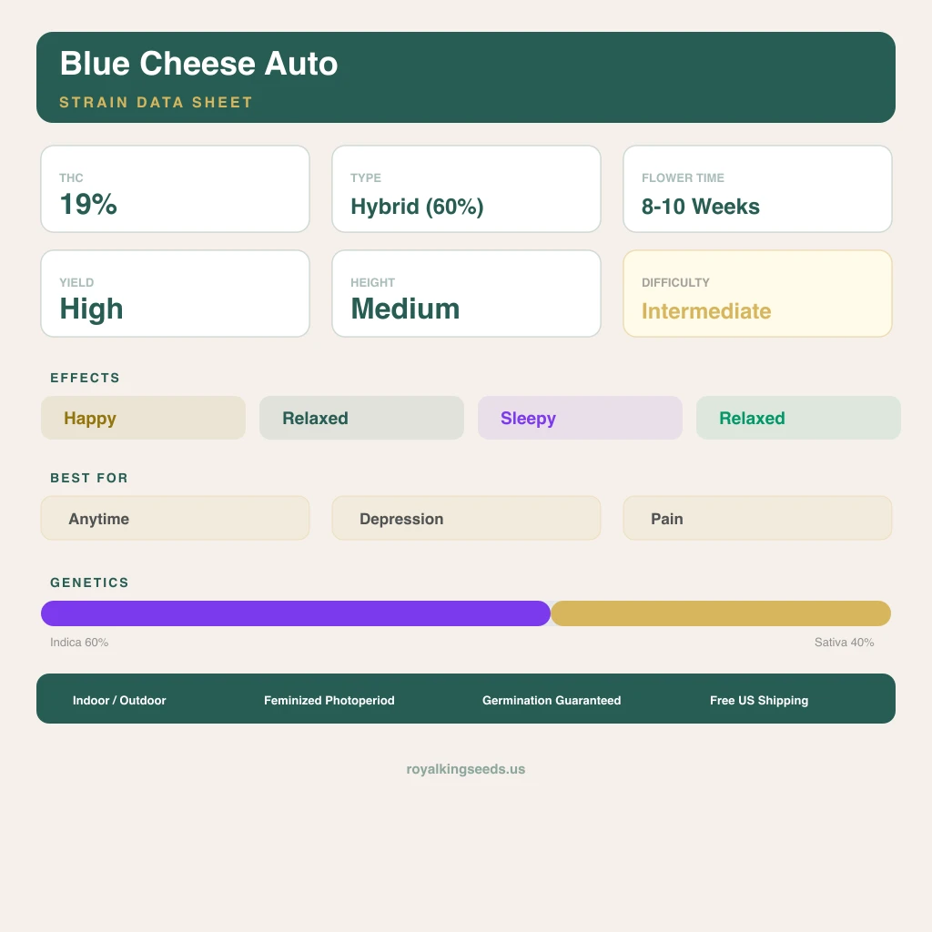 Blue Cheese 60% indica / 40% sativa — fleur avec trichomes visibles