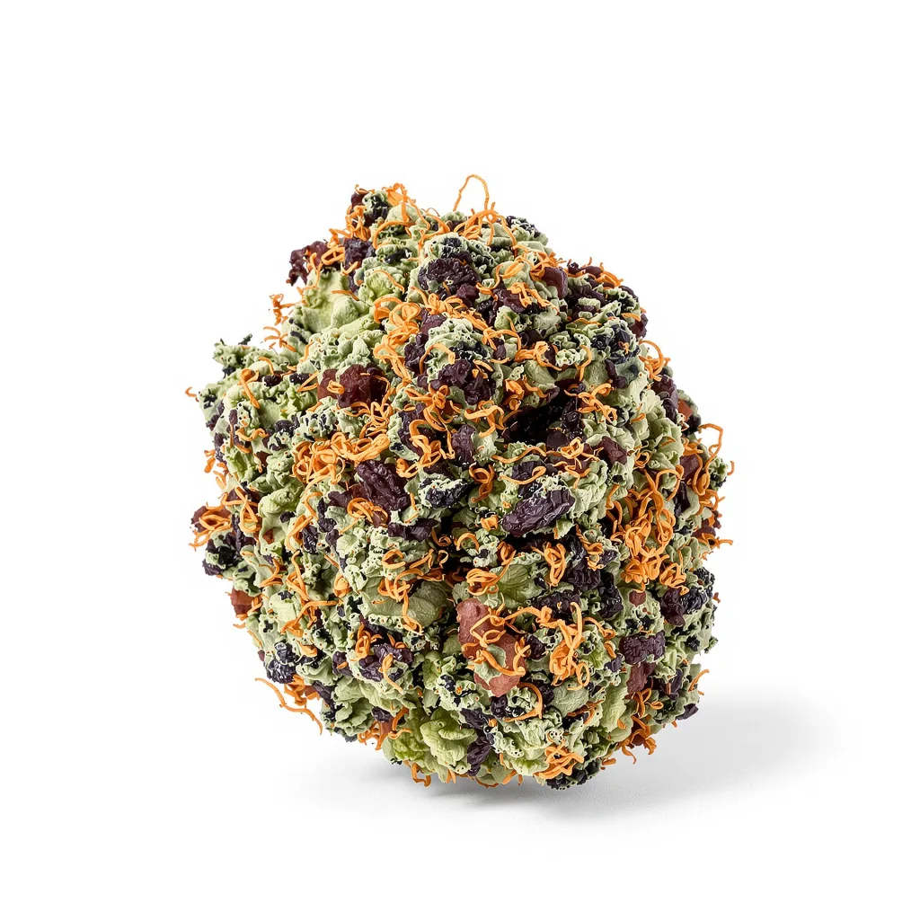 Blue Dynamite 65% indica / 35% sativa — fleur avec trichomes visibles