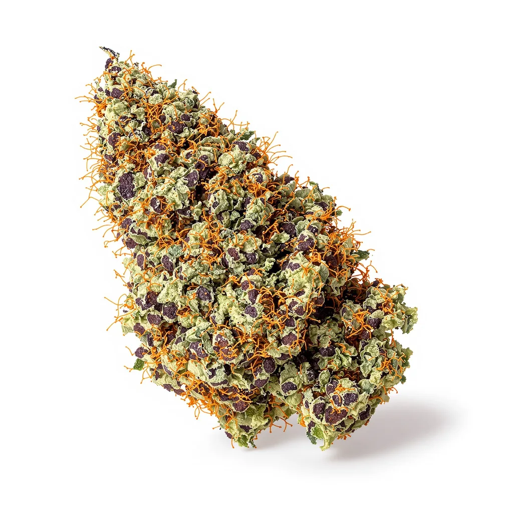 Blue Fruit 86% indica / 14% sativa — fleur avec trichomes visibles