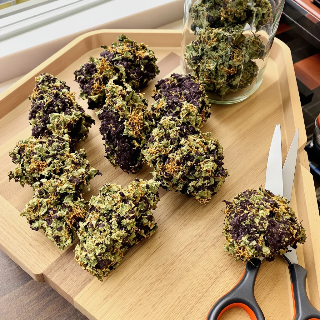 Blue Fruit 86% indica / 14% sativa — fleur avec trichomes visibles
