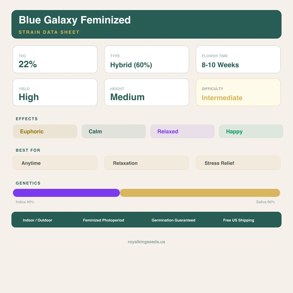 Blue Galaxy 40% indica / 60% sativa — fleur avec trichomes visibles
