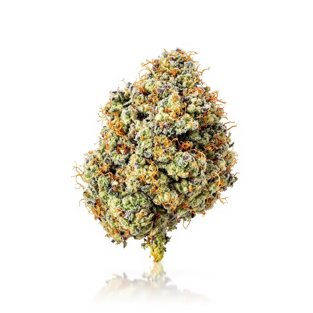 Blue Hawaiian 38% indica / 62% sativa — fleur avec trichomes visibles