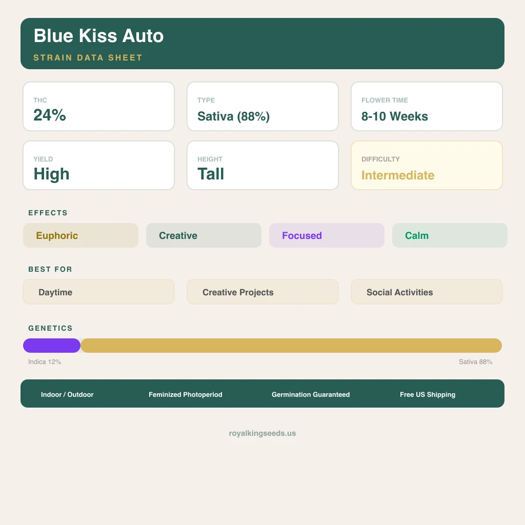 Blue Kiss 12% indica / 88% sativa — fleur avec trichomes visibles