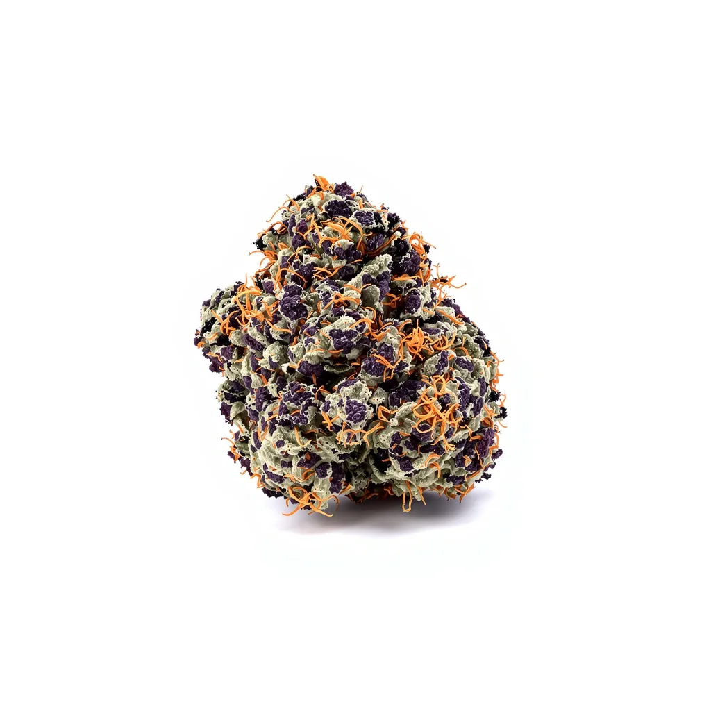 Blue Knight 76% indica / 24% sativa — fleur avec trichomes visibles