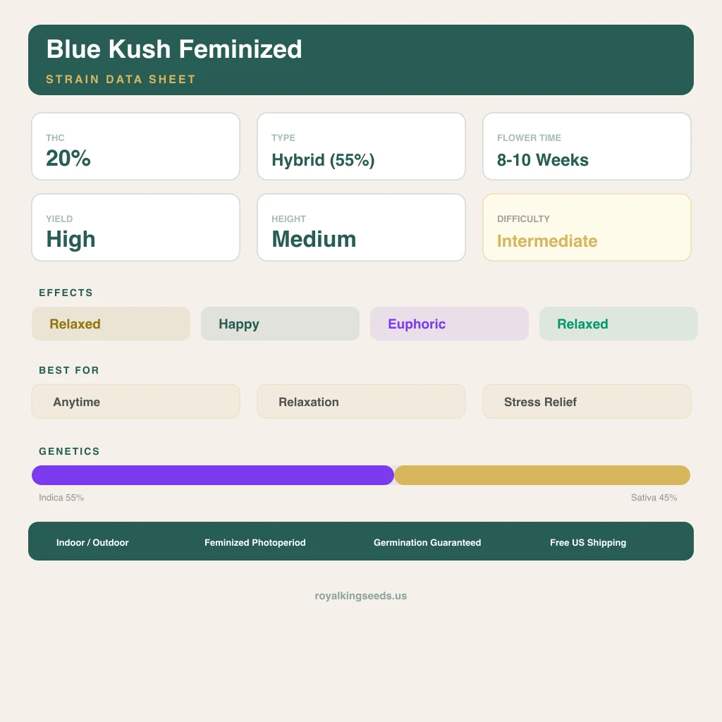 Blue Kush 55% indica / 45% sativa — fleur avec trichomes visibles