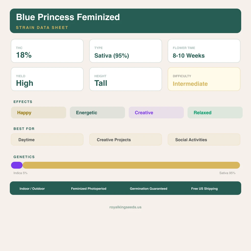 Blue Princess 5% indica / 95% sativa — fleur avec trichomes visibles