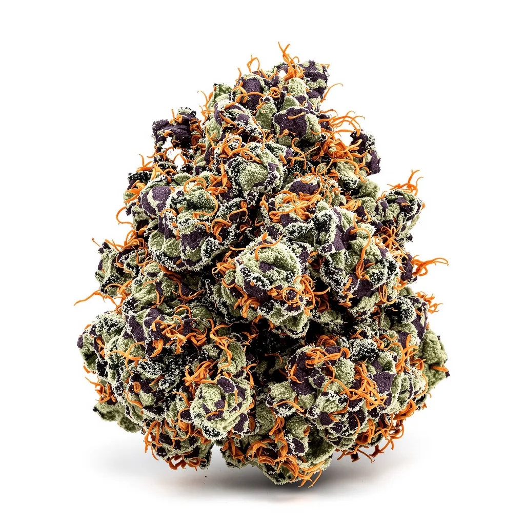 Blue Widow 76% indica / 24% sativa — fleur avec trichomes visibles