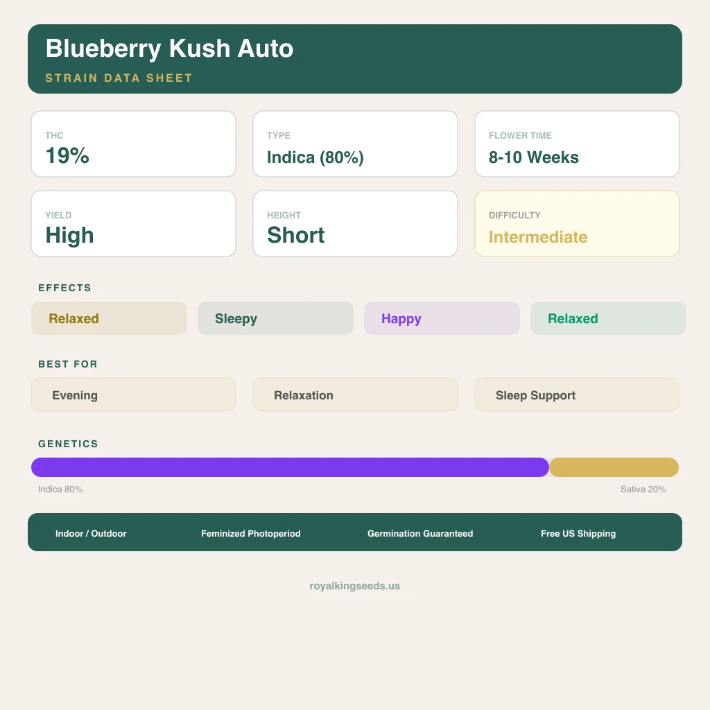 Blueberry Kush 80% indica / 20% sativa — fleur avec trichomes visibles