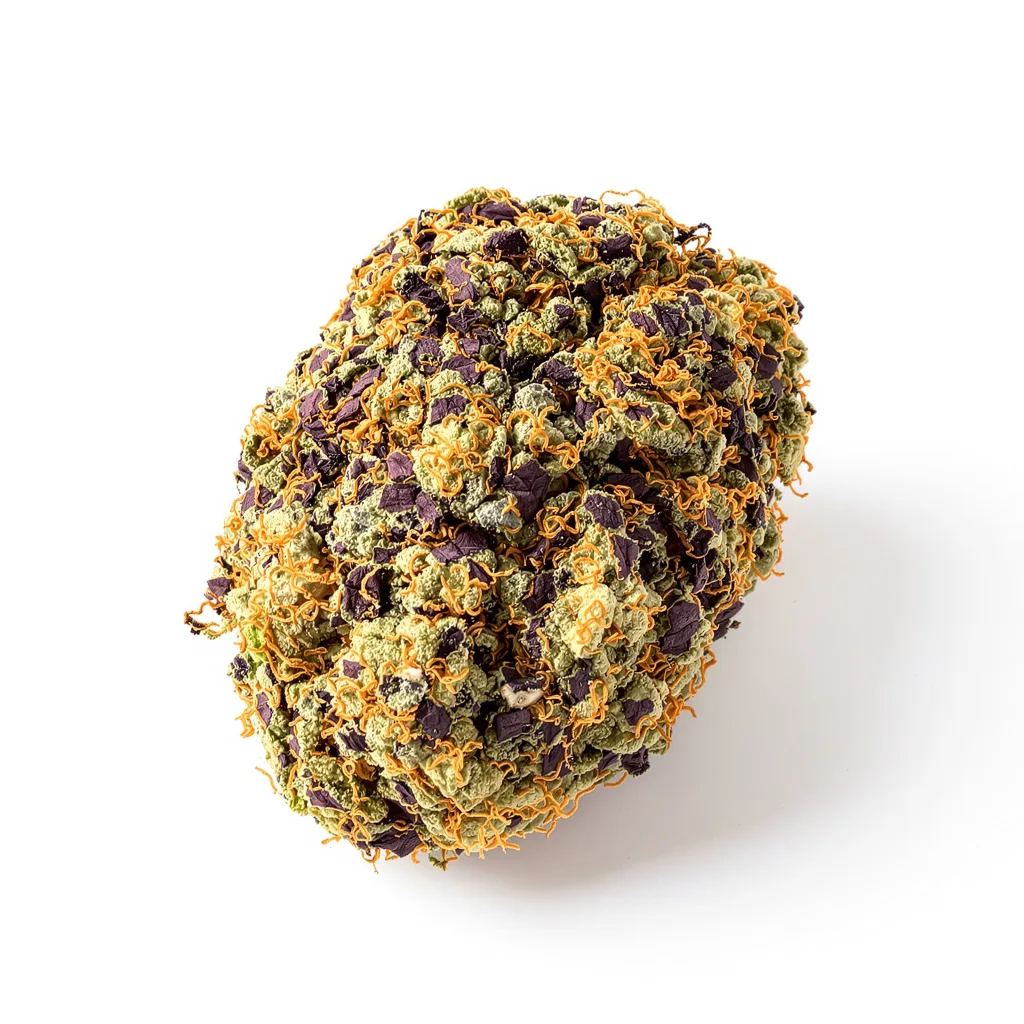 Blueberry Waltz 81% indica / 19% sativa — fleur avec trichomes visibles