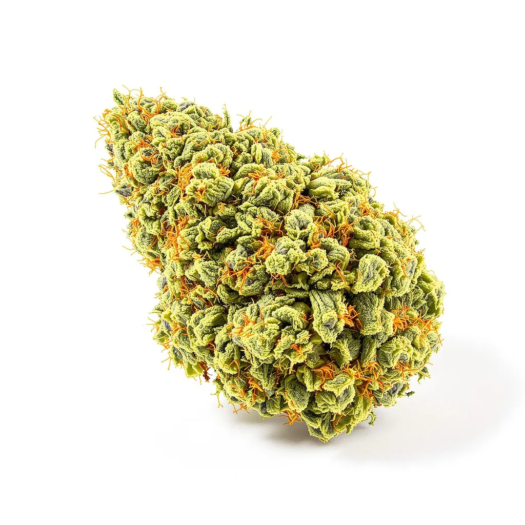 Bruce Banner #3 20% indica / 80% sativa — fleur avec trichomes visibles