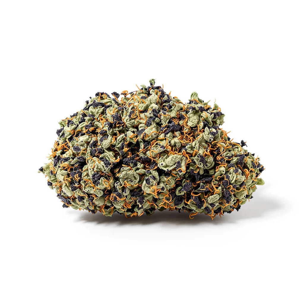 Buddha Tahoe 100% indica / 50% sativa — fleur avec trichomes visibles