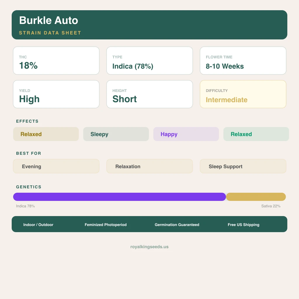 Burkle 78% indica / 22% sativa — fleur avec trichomes visibles