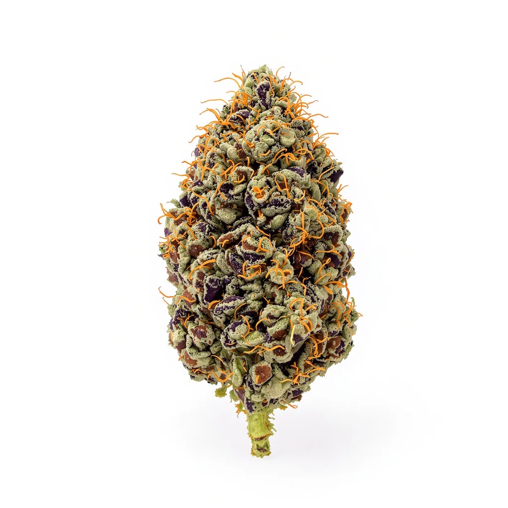 Burkle 78% indica / 22% sativa — fleur avec trichomes visibles