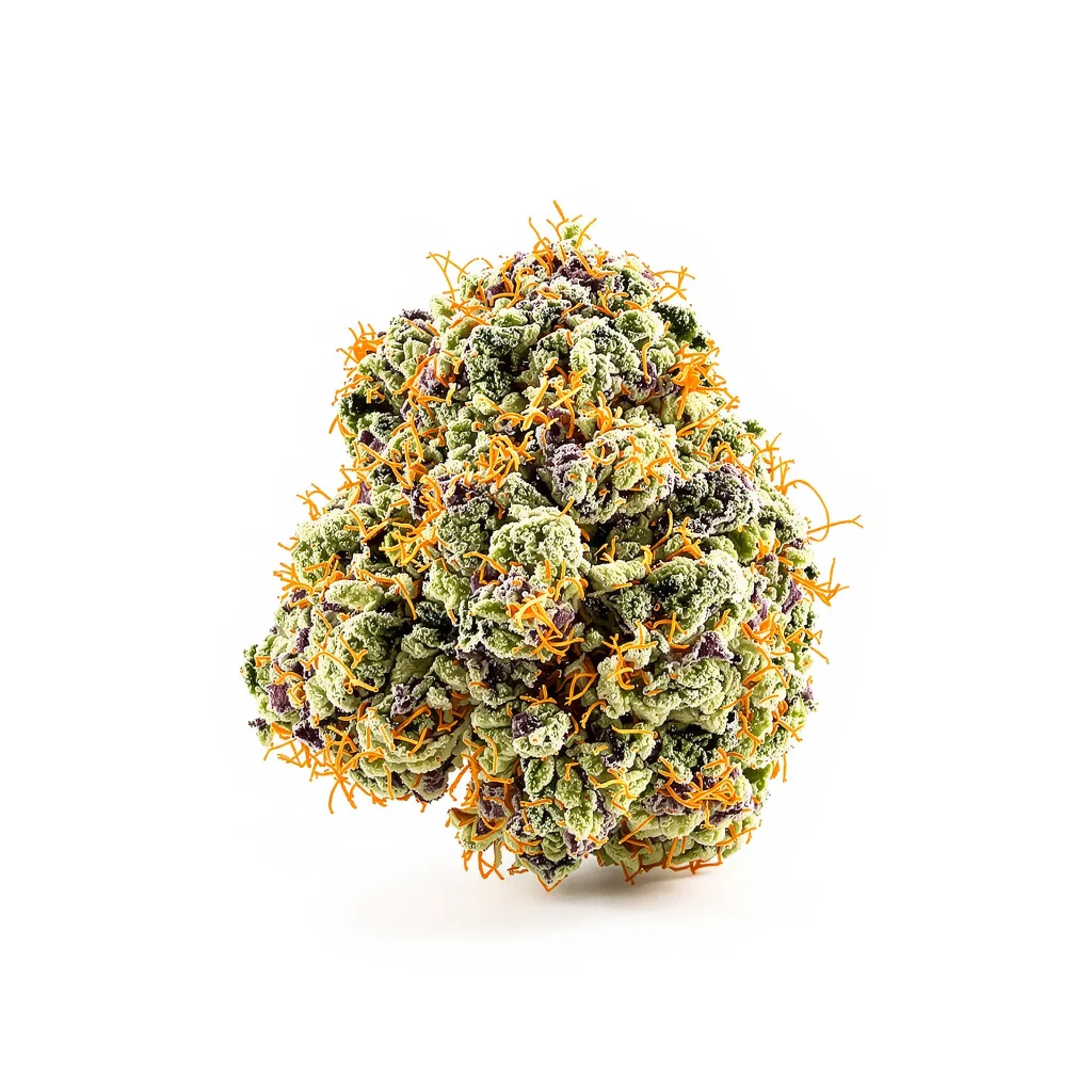 Burmese Kush 50% indica / 50% sativa — fleur avec trichomes visibles