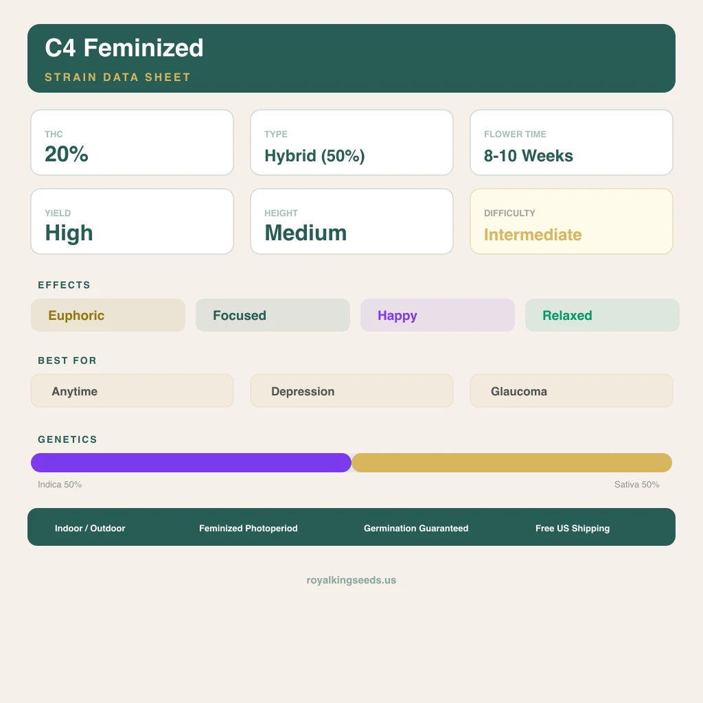 C4 50% indica / 50% sativa — fleur avec trichomes visibles