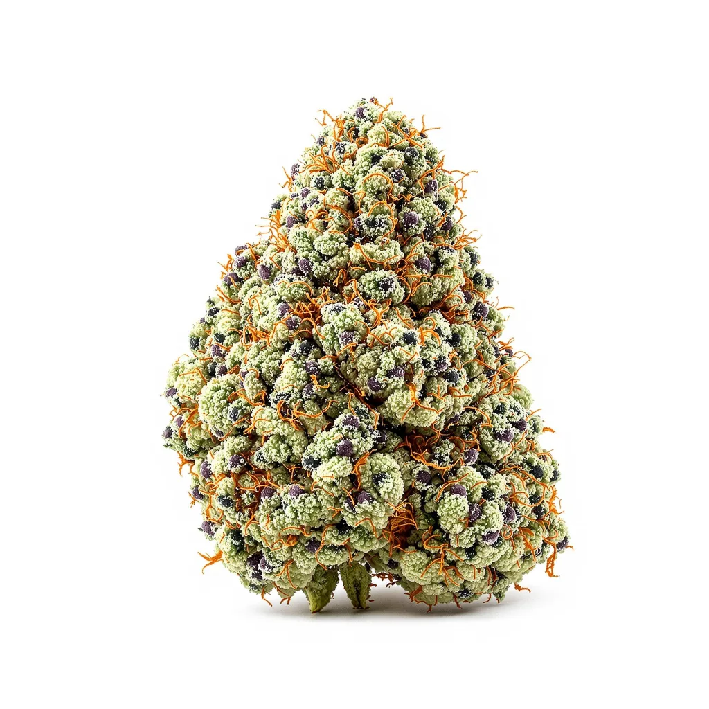 Cali Jack 36% indica / 64% sativa — fleur avec trichomes visibles