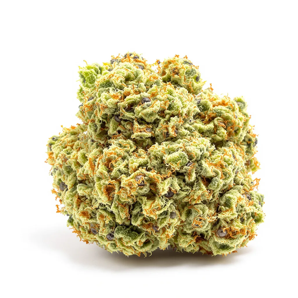 CBD Fast Eddy 42% indica / 58% sativa — fleur avec trichomes visibles