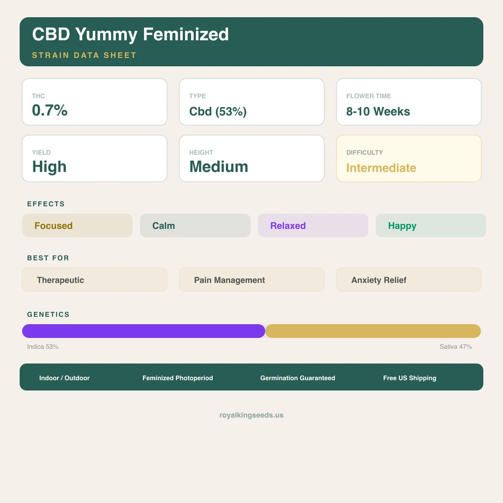 CBD Yummy 53% indica / 47% sativa — fleur avec trichomes visibles