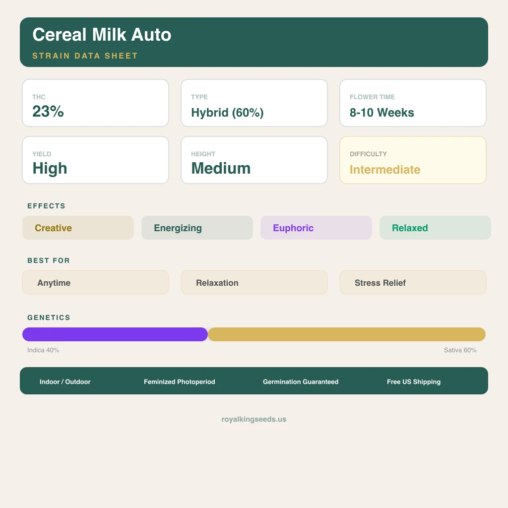 Cereal Milk 40% indica / 60% sativa — fleur avec trichomes visibles