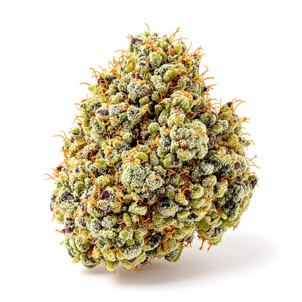 Champagne Kush 50% indica / 50% sativa — fleur avec trichomes visibles