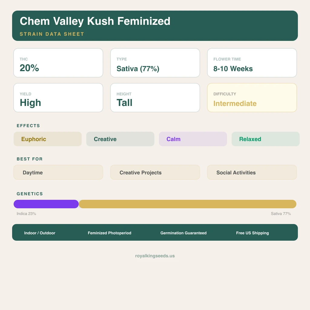 Chem Valley Kush 23% indica / 77% sativa — fleur avec trichomes visibles