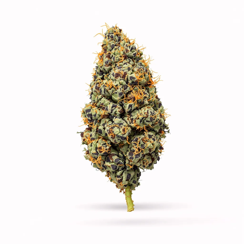 China Yunnan 65% indica / 35% sativa — fleur avec trichomes visibles