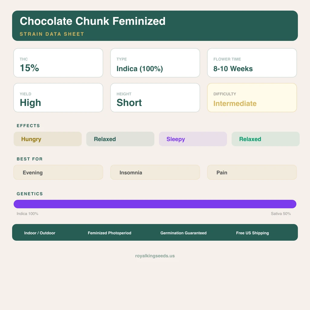 Chocolate Chunk 100% indica / 50% sativa — fleur avec trichomes visibles