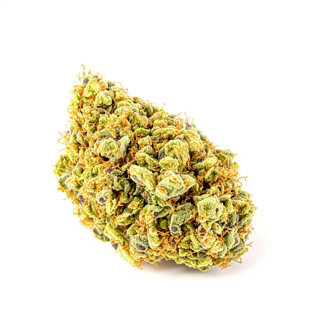 Citrus Sap 20% indica / 80% sativa — fleur avec trichomes visibles