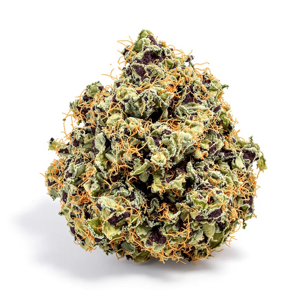 Cold War Kush 65% indica / 35% sativa — fleur avec trichomes visibles