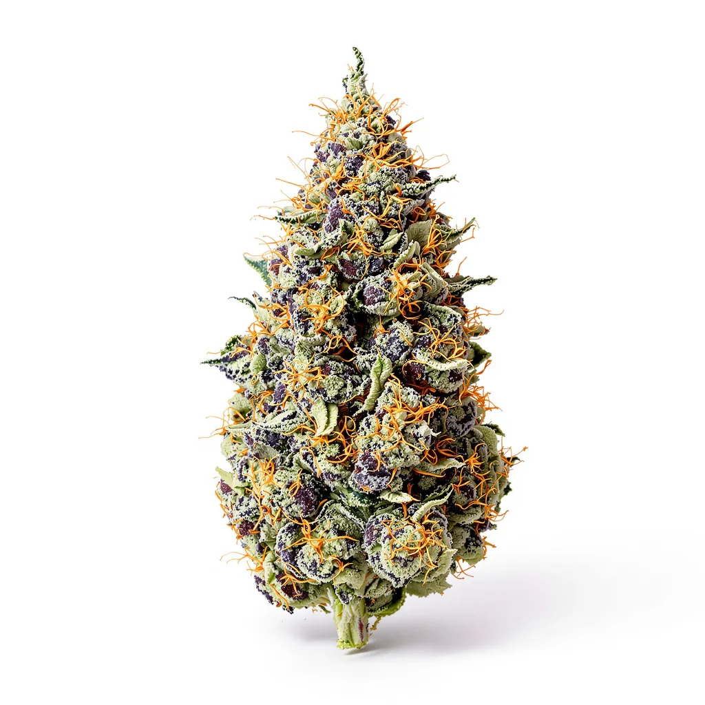 Cookie Jar 72% indica / 28% sativa — fleur avec trichomes visibles