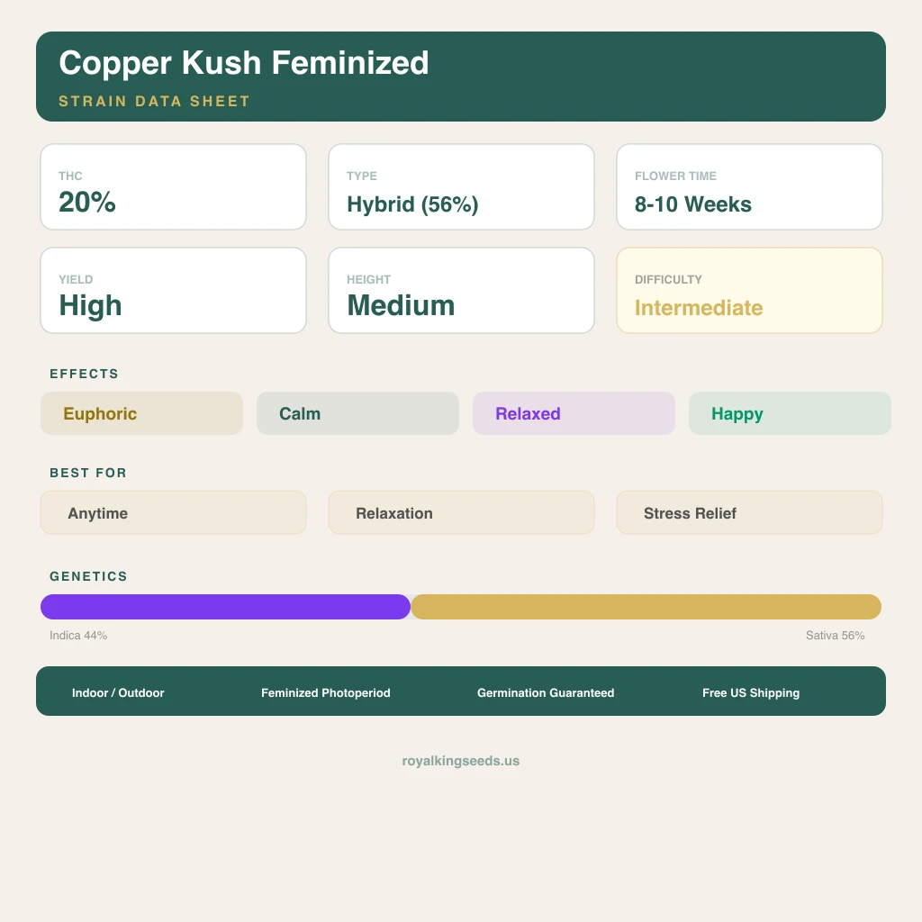 Copper Kush 44% indica / 56% sativa — fleur avec trichomes visibles