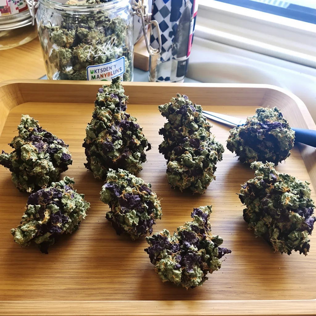 Cracker Jack 81% indica / 19% sativa — fleur avec trichomes visibles