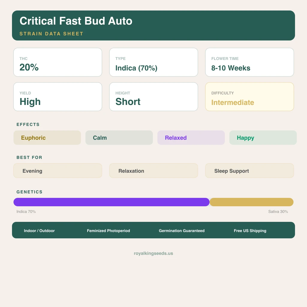 Critical Fast Bud 70% indica / 30% sativa — fleur avec trichomes visibles
