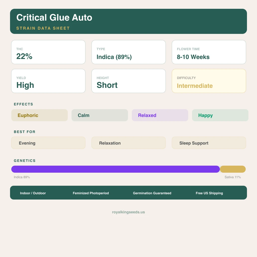 Critical Glue 89% indica / 11% sativa — fleur avec trichomes visibles