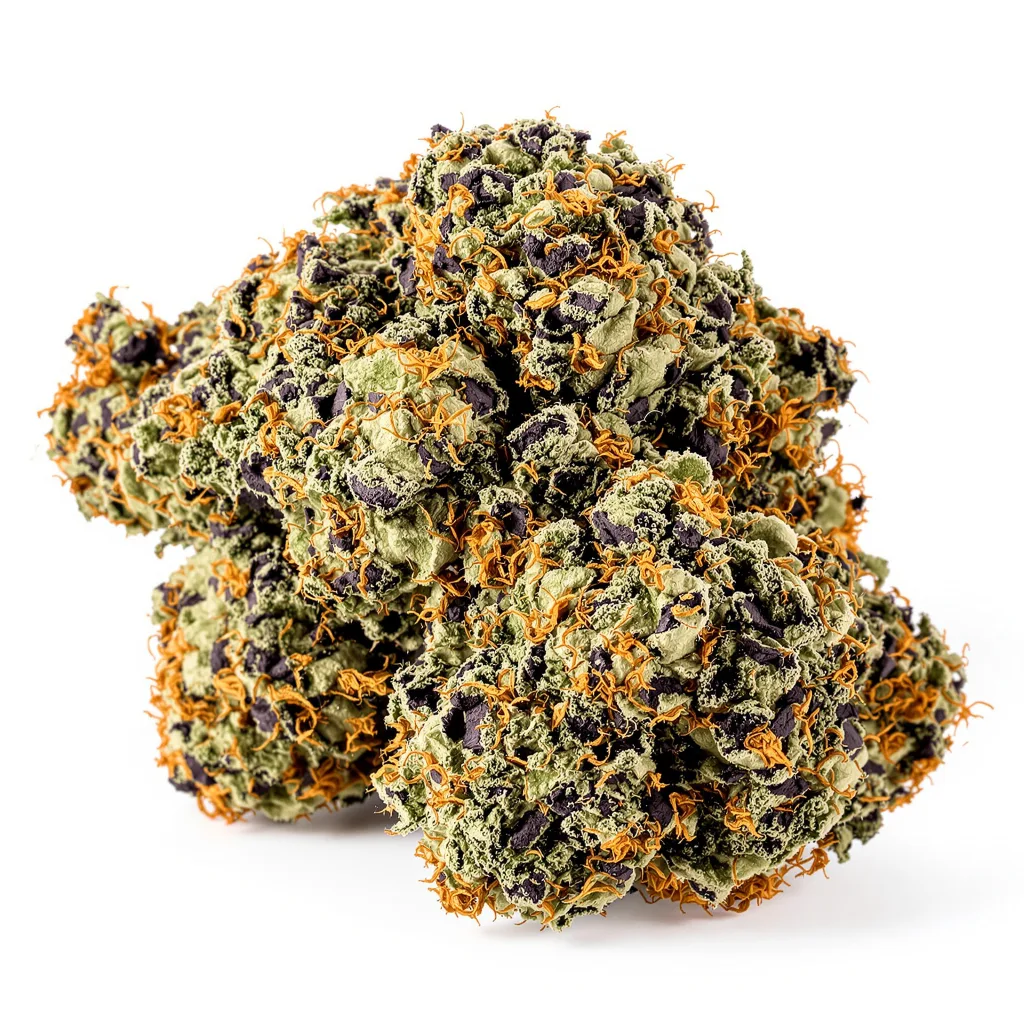 Critical Purple 70% indica / 30% sativa — fleur avec trichomes visibles