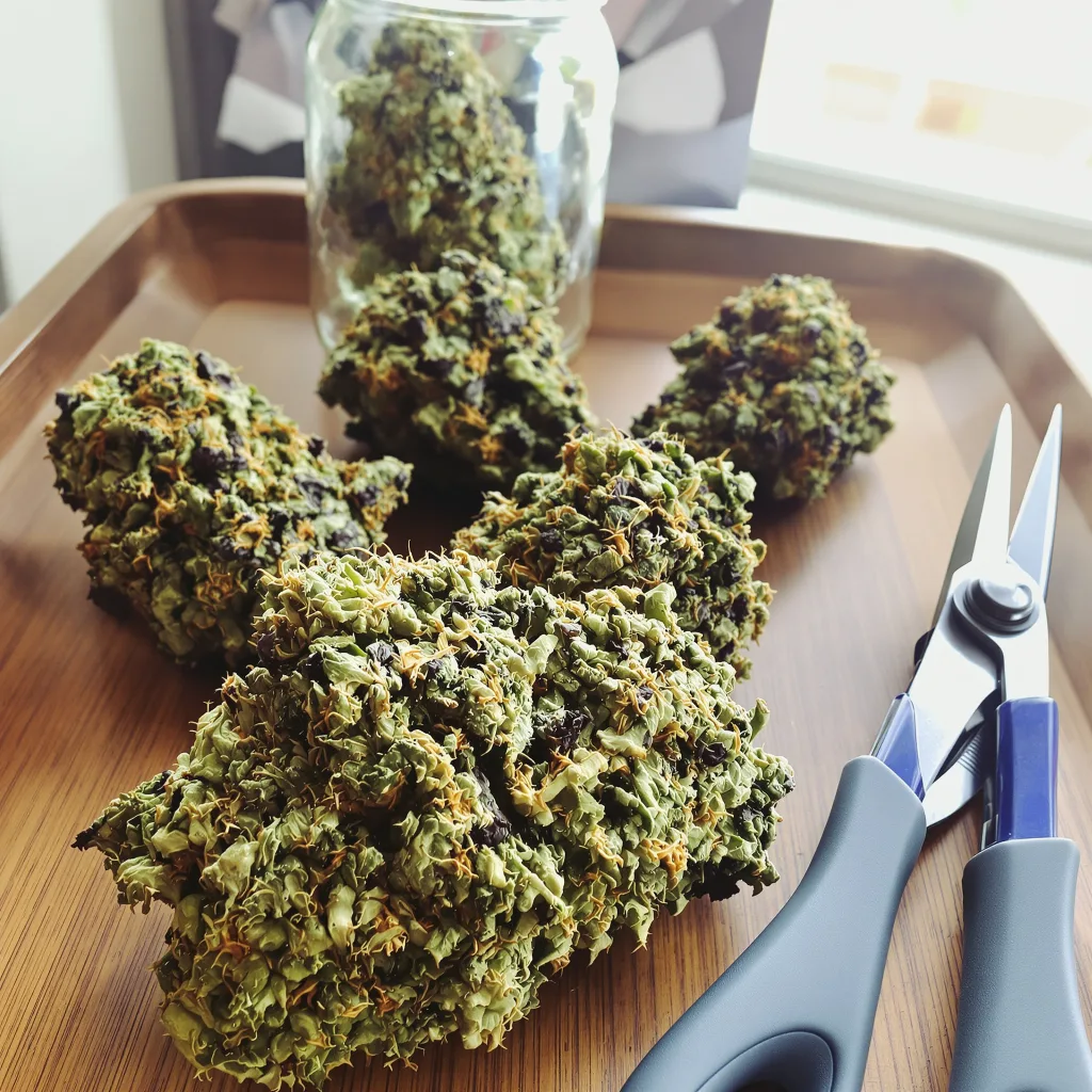 Crown Royale 83% indica / 17% sativa — fleur avec trichomes visibles