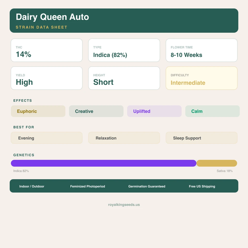 Dairy Queen 82% indica / 18% sativa — fleur avec trichomes visibles