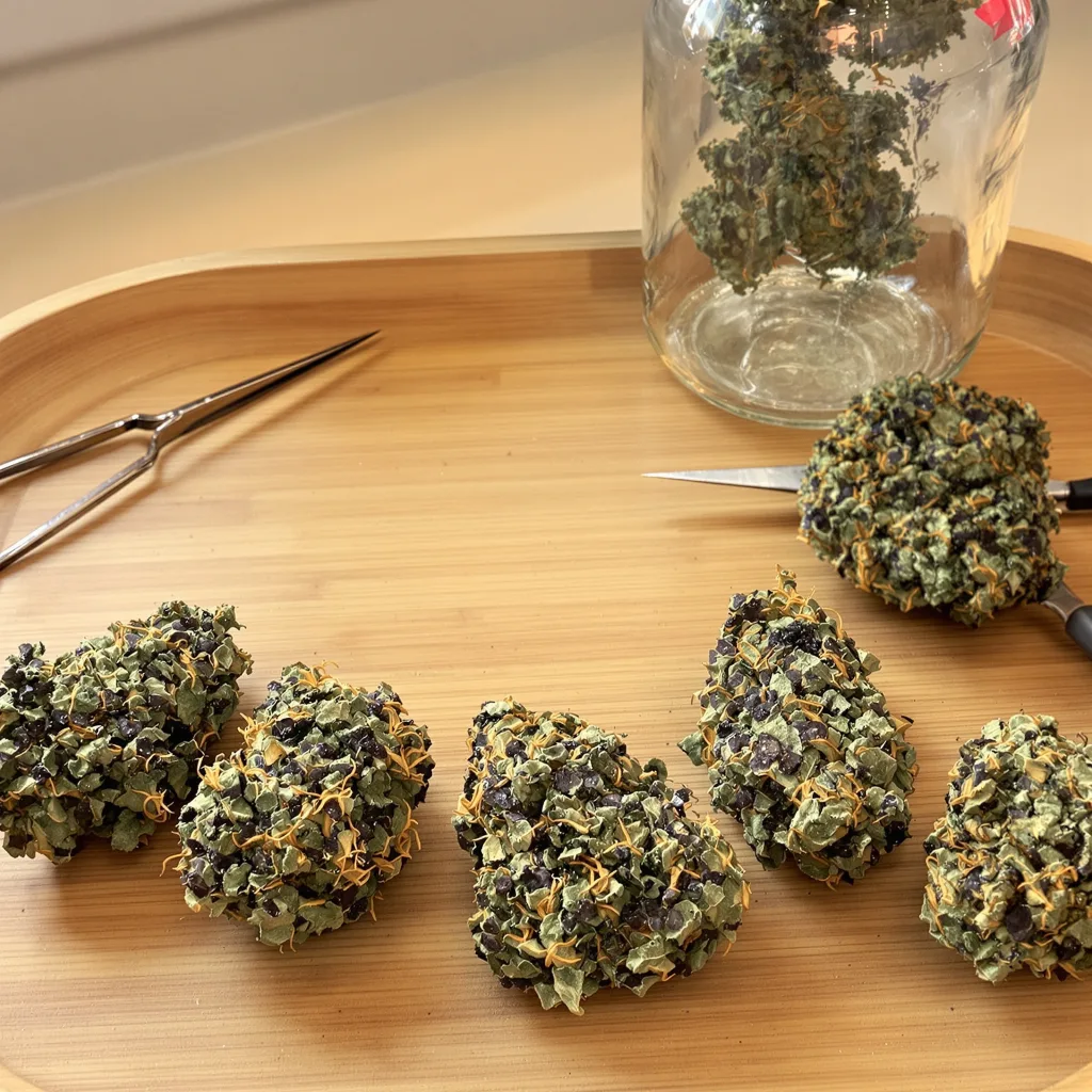Dairy Queen 82% indica / 18% sativa — fleur avec trichomes visibles