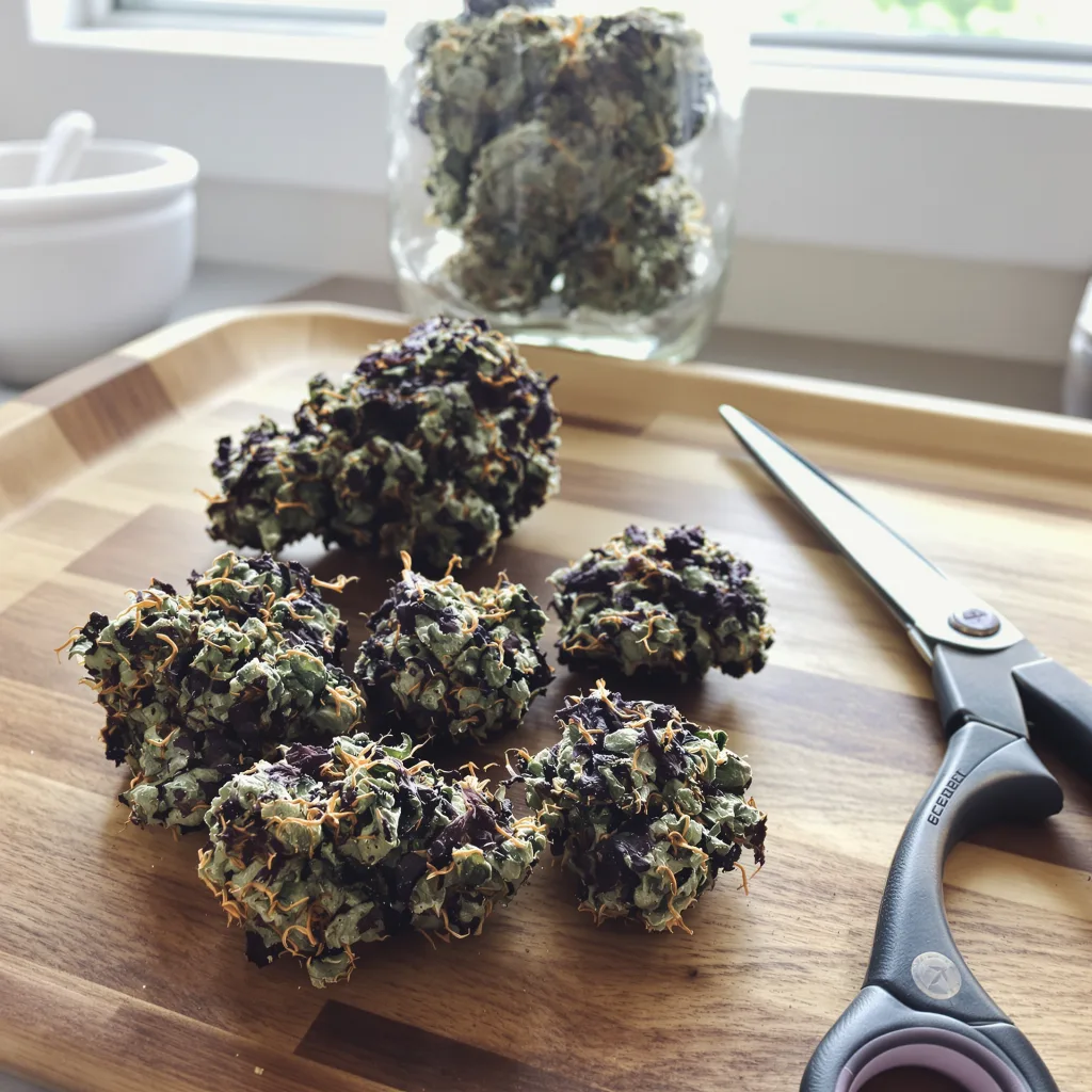 Dank Schrader 82% indica / 18% sativa — fleur avec trichomes visibles