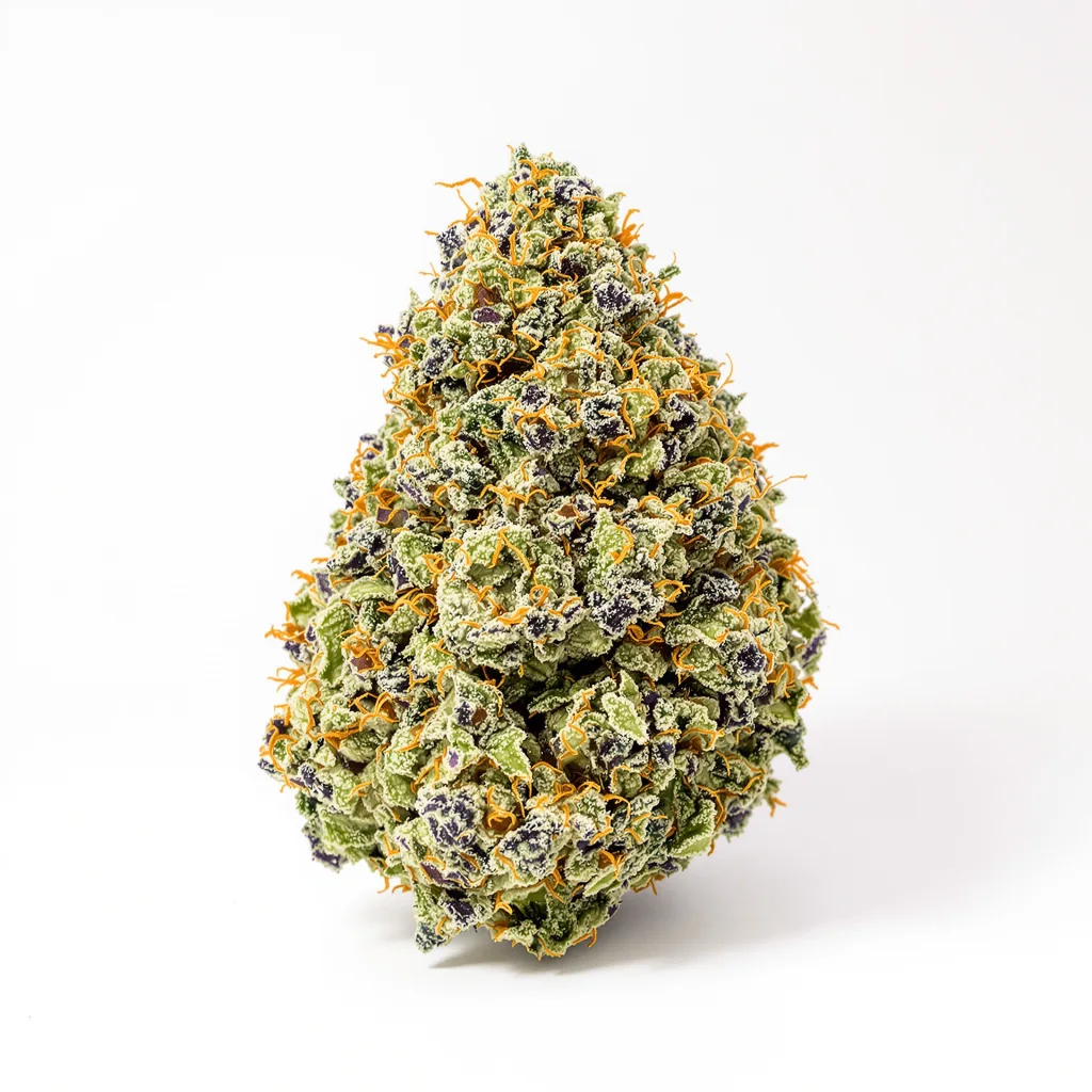 Dank Sinatra 52% indica / 48% sativa — fleur avec trichomes visibles