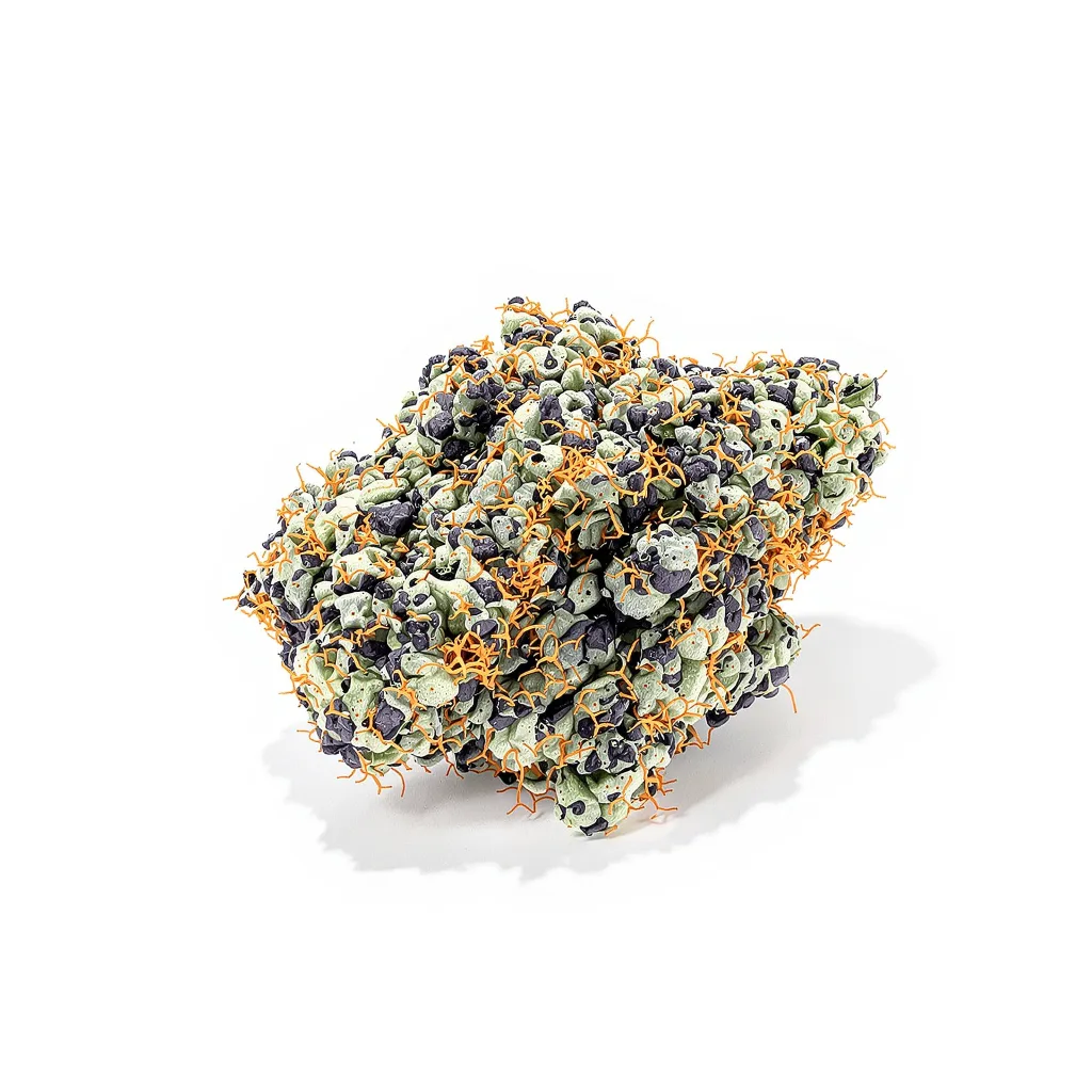 Danky Doodle 86% indica / 14% sativa — fleur avec trichomes visibles
