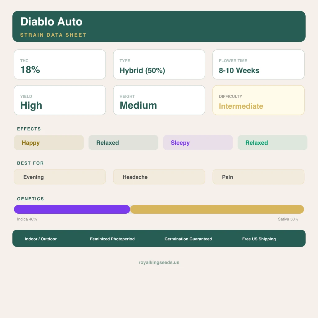 Diablo 40% indica / 50% sativa — fleur avec trichomes visibles