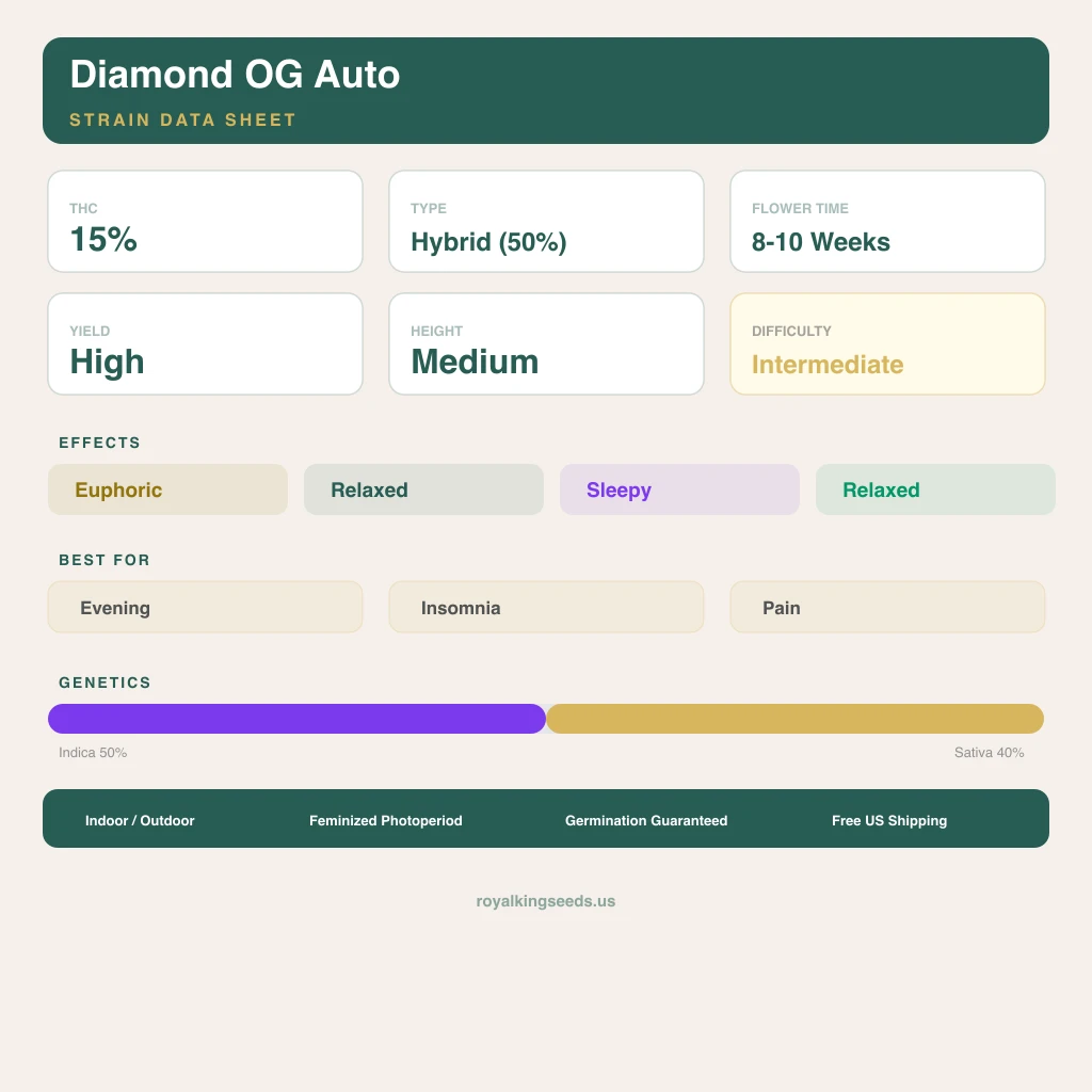 Diamond OG 50% indica / 40% sativa — fleur avec trichomes visibles