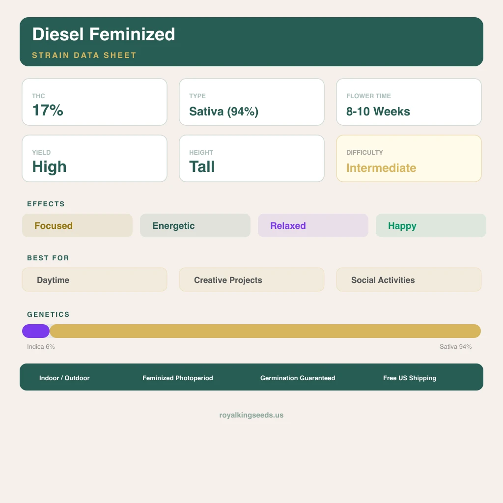 Diesel 6% indica / 94% sativa — fleur avec trichomes visibles