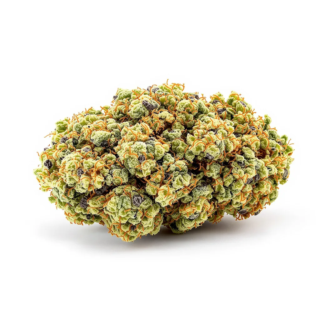 Digweed 39% indica / 61% sativa — fleur avec trichomes visibles