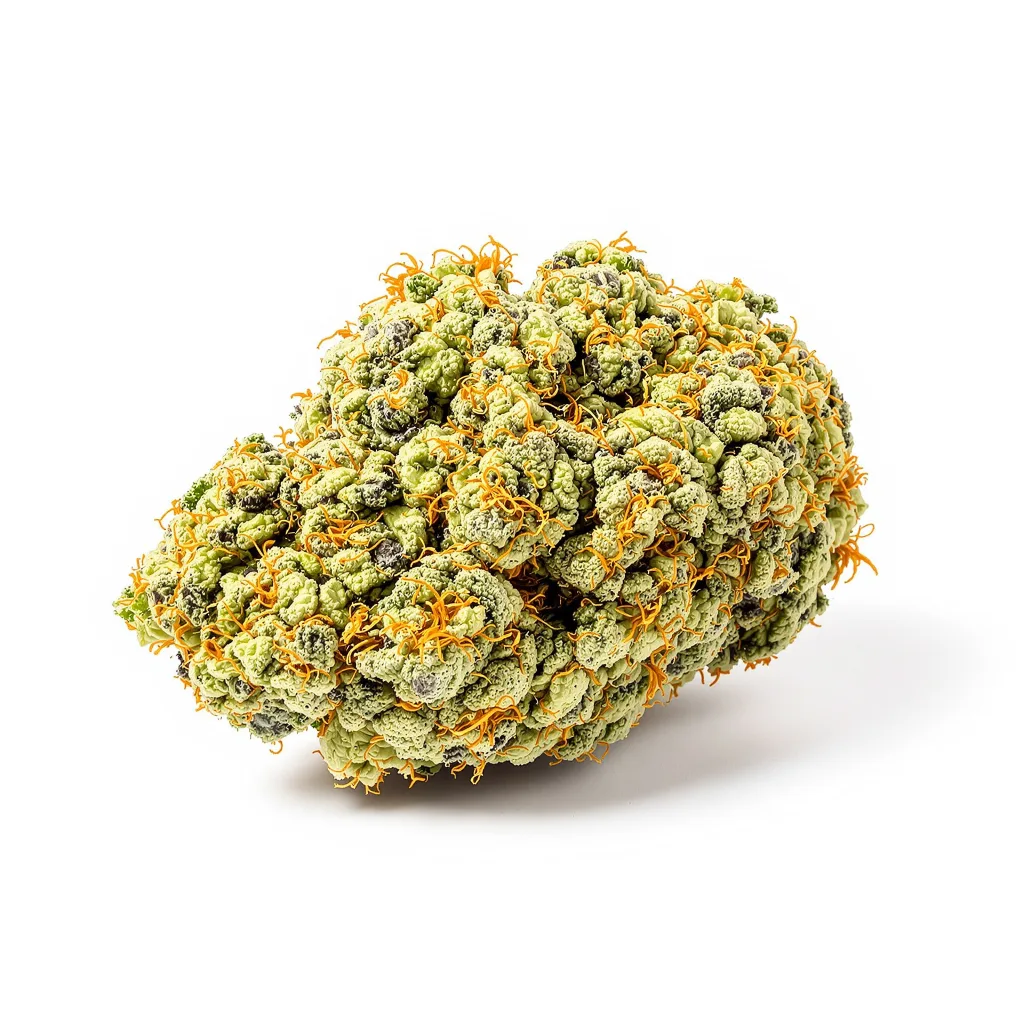 Dizzy OG 16% indica / 84% sativa — fleur avec trichomes visibles
